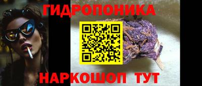 мяу мяу мука Гусь-Хрустальный