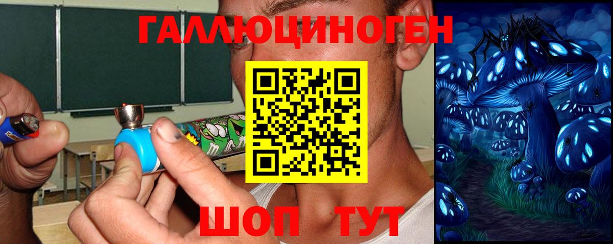 Псилоцибиновые грибы прущие грибы  Вход с VPN  Междуреченск 