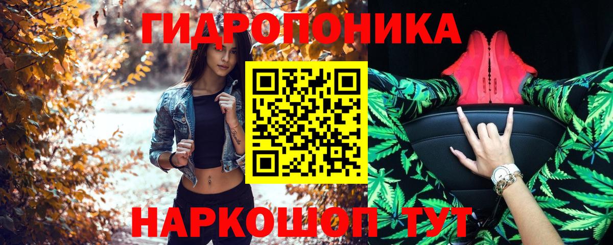 Каннабис индика  Вход с VPN  Бошки Шишки AK-47  Междуреченск  Бошки Шишки ГИДРОПОН  Конопля ГИДРОПОН 
